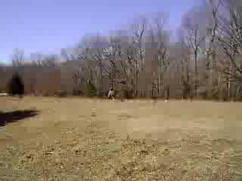 Galloping my mare