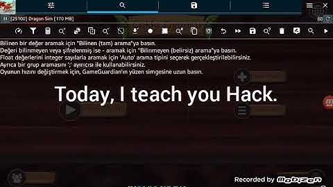 Dragon sim long name and nickname hack !