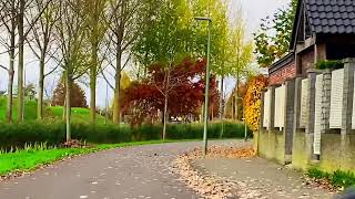 🚴Cycle in the Netherlands in Autumn 🧡 🛣️ || Holland 🇳🇱  screenshot 5