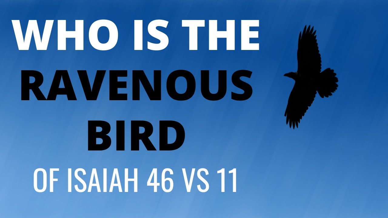 Ravenous Bird  - Identity theft & the Scriptures
