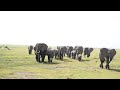 OL TUKAI LODGE AMBOSELI 