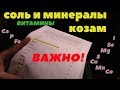 Соль, минералы и витамины козам