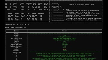 Stock Ticker Report Program Using Polygon.io and Node.js, Program Demonstration