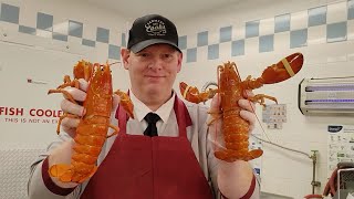 Market Basket employee finds two rare orange lobsters in shipment to New Hampshire store