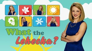 What the Lehecka: Does a Full Moon Affect Behavior?
