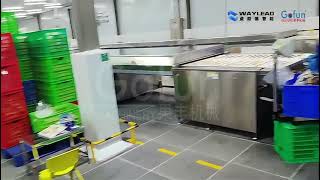 Information Premium Mango Processing Line Soft Chewy Dried Mango Solution News