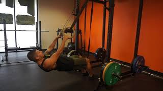 Gymnastic Rings Inverted Rows