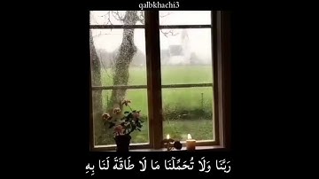 قرآن كريم بصوت سالم الرويلي | حالات واتس اب دينية - راحة نفسية ❤