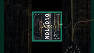 The Oracle - Mollono Bass