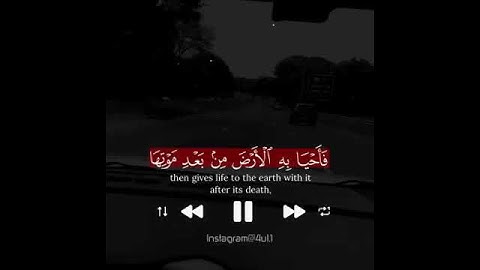 الله يبسط الرزق لمن يشاء حالات واتساب قران كريم