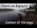 Сёмга р.Варзуга Тестирование блесен "TOXIC irony"./Trophy salmon. Spoon lures "TOXIC irony" testing.