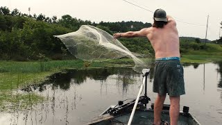 Net Fishing for the American Shad!