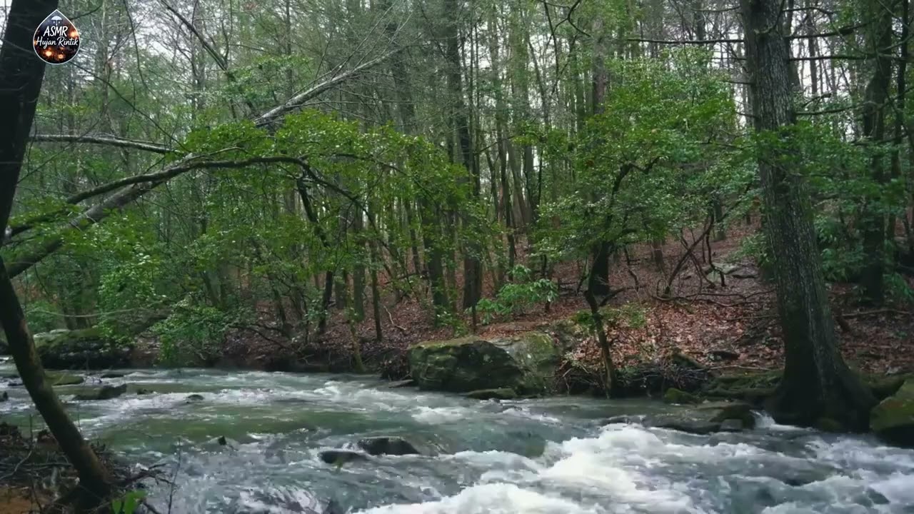 Forest River Sounds ASMR 🌿 Calm Flowing Water for Sleep, Relaxation & Meditation