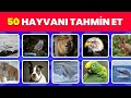 HAYVANLARI NE KADAR İYİ TANIYORSUN? | GÖRSEL BİLGİ YARIŞMASI | EĞLENCELİ QUİZ TESTİ