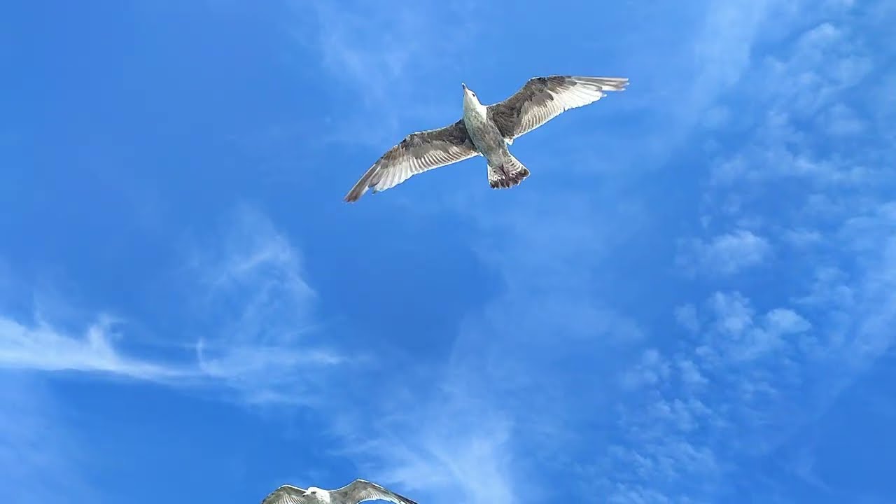 JAK SIĘ ZADOMOWIĆ - ŚLADAMI NANOBOZHO