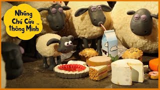 Những Chú Cừu Thông Minh  Mùa 2 phần 1 Tập đầy đủ