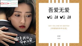 Wu Ai Wu Ai 吾爱无爱 - Ann 白安 OST. You Are My Destiny 《你是我的命中注定》 PINYIN LYRIC