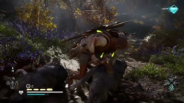 Checking New Items & Changes In Assassin