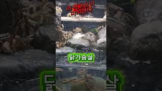 쌍봉산 시리즈 645 탄 : 와 얼마나 먹고 싶었으면 미친듯이 360도 팔짝 뛰기까지 하네요
