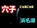 にょろにょろ穴子？とクロダイ、ボラ　夜釣りで奮闘！　おまけ動画あり♪