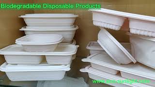 Eco-friendly degradable food packaging container restaurant takes out disposable lunch box China