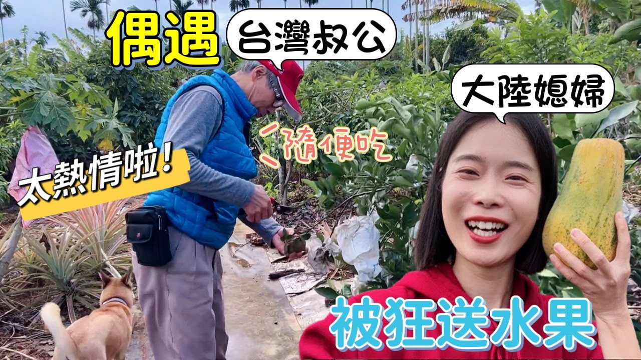 大陸媳婦,在台灣最開心的事,竟然是種田... 縮圖