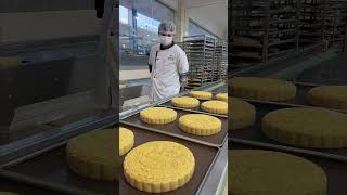 This Lying Position Is So Comfortable. #Satisfying #mooncake #shorts