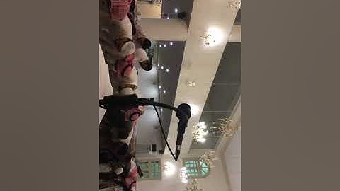 صلاة المغرب للشيخ د / محمد صالح بن عالم شاه 1440/2/13هـ سورة البلد من جامع شهيد المحراب