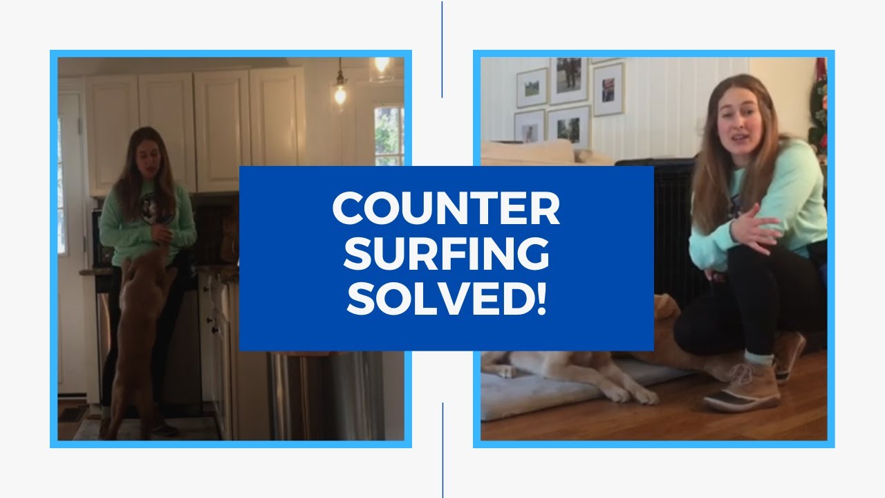 How to STOP Counter Surfing YouTube