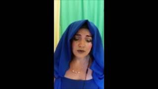 Little Lies Emelia Vanzandt Cover