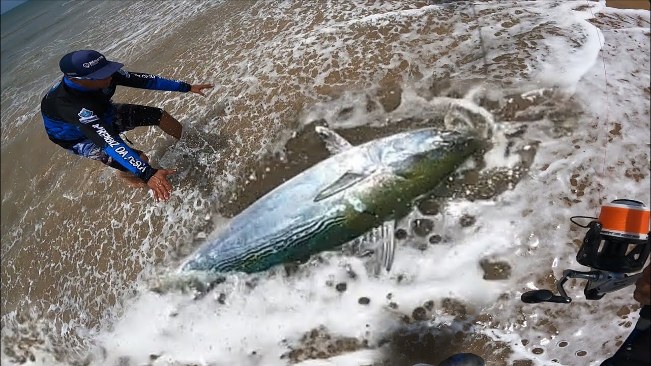 A BATALHA DO SÉCULO com PEIXE GIGANTE na PESCA DE PRAIA!!! Pescando e COMENDO. 