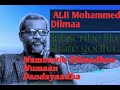 Alii Mohammed Diimaa Sirba Afaan Oromoo 