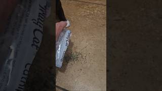 One Dab For Felix, Full Dive For Figaro Viral