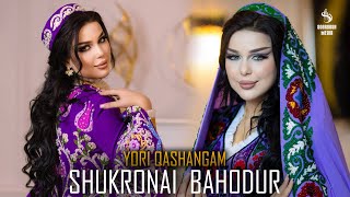 Shukronai Bahodur - Yori qashangam (new klip 2023)  |  Шукронаи Баходур - Ёри кашангам 2023