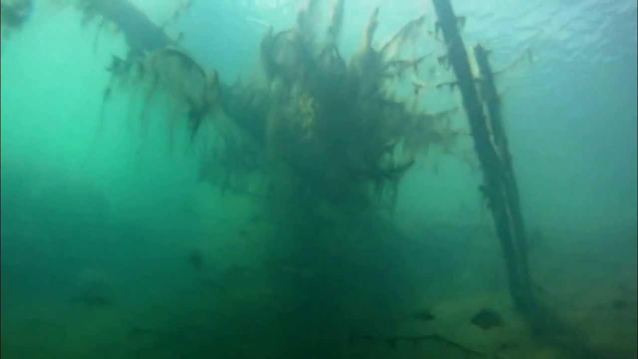 Нижневартовск голубое озеро Нижневартовск голубое озеро