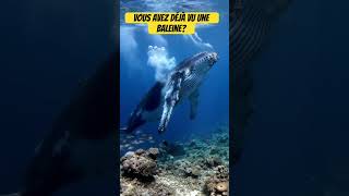 Baleine #shorts #Océan #Baleine #Nature #Documentaire #MomentsMagiques #Wildlife #NatureIncredible