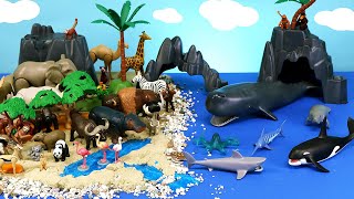 Island Scenery Diorama for Playmobil Land and Sea Animals