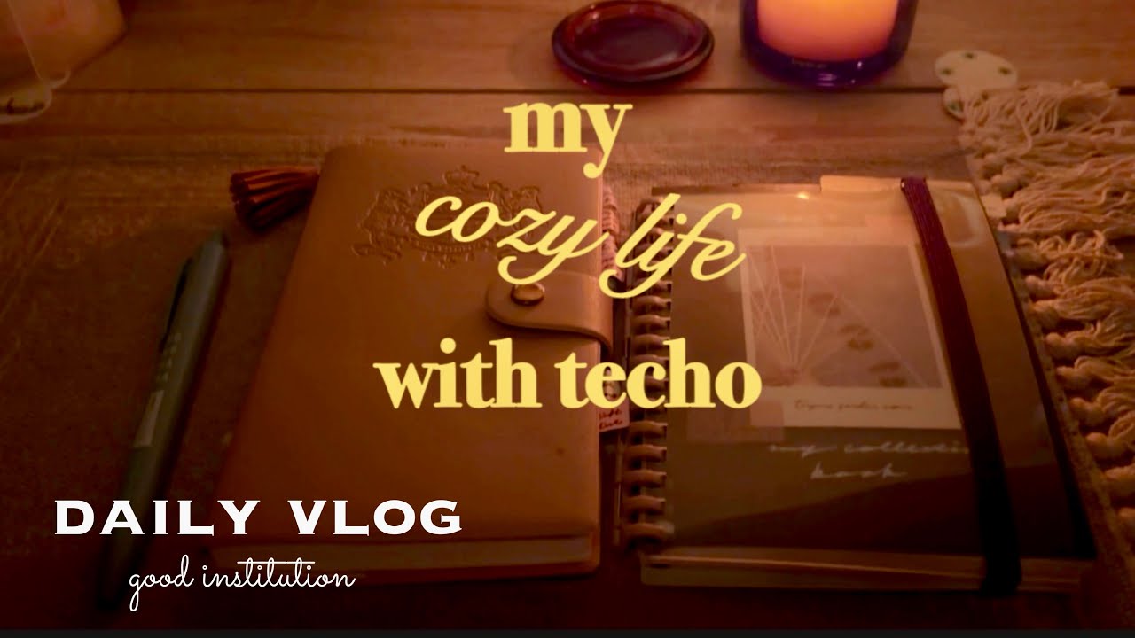 【vlog】my night routine|ポイントシールと小さめシールの使い方|バレットジャーナル📓