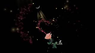 وليد توفيق.. أبوكي مين