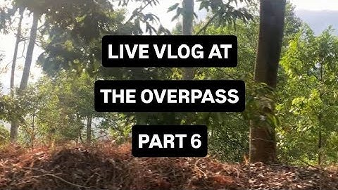 DAILY VLOG | CITY TRAFFIC FROM THE OVERPASS PART 6 #vlog  #dailyvlog  #city