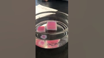 Diffusion demonstration - agar in vinegar