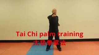 Unlock the Power of Tai Chi: Master the Palm Technique for Balance, Strength, and Inner Peace! 太极掌法
