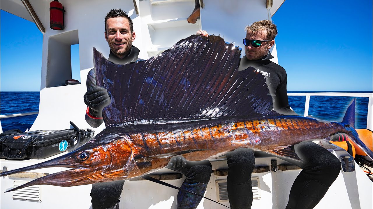 Back to Madagascar: Spearfishing SAILFISH, Spanish Mackerel, Jobfish and more!