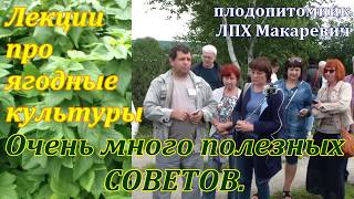 Лучше не расскажешь . Лекция. Советы . Ягодные культуры. Анатолий Шагиахметов.