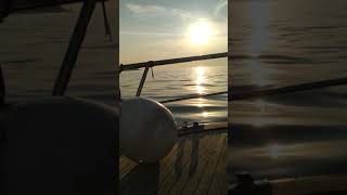 Karadeniz 2019 Nazım Şahin