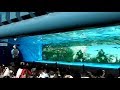 サンシャイン水族館ペンギンダイビングタイム の動画、YouTube動画。