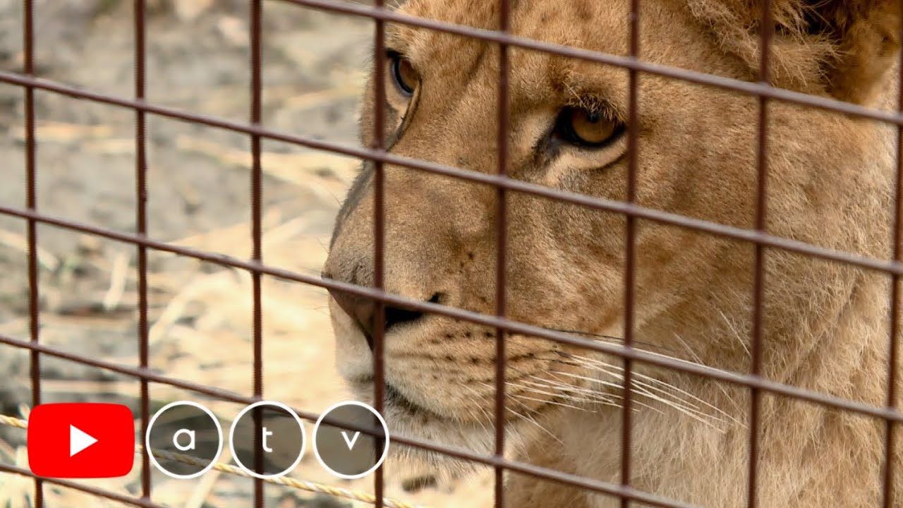 Miskolc és környéki kirándulás 2. rész