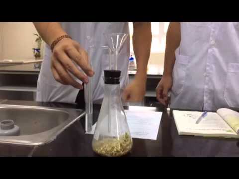 Sinh học lớp 11b1 thí nghiệm 1