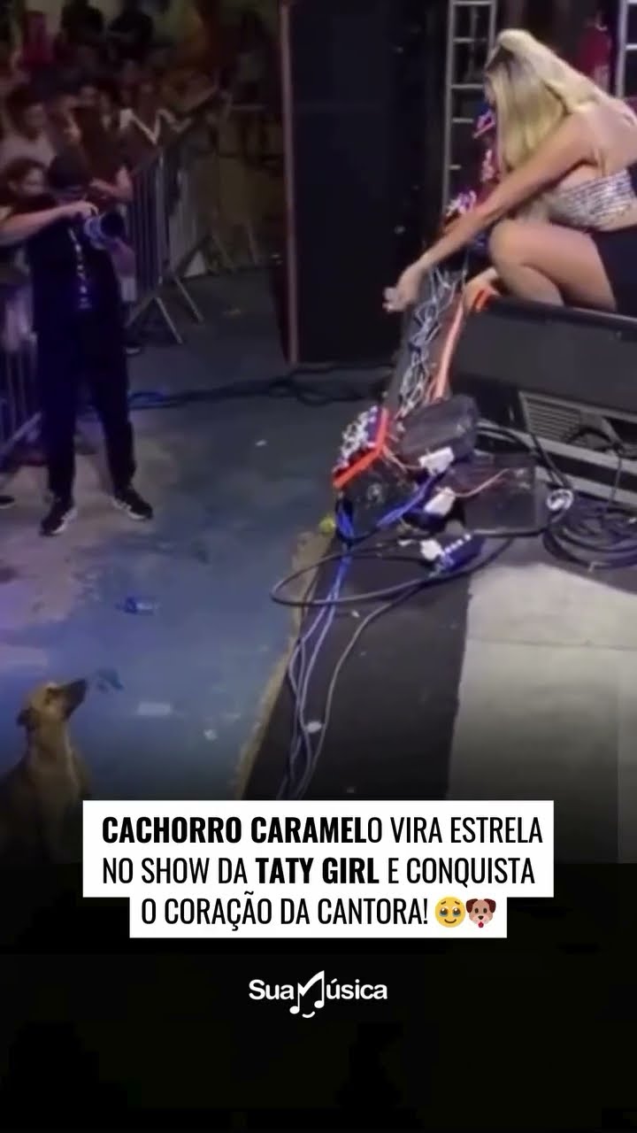 Caramelo “curtindo” show, @TatyGirl  pediu que evitasse soltar fogos de artifício #shorts