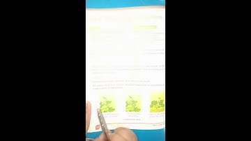 Plants  -- Class 3 Science -- Lecture 1 *** Ilm Ka Ghar - علم کا گھر -  @Ilm Ka Ghar  ***